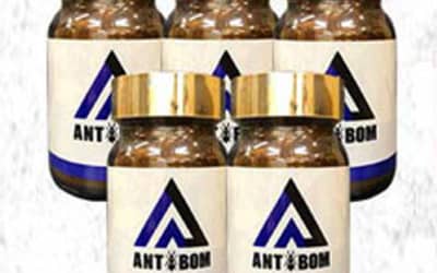 【検証済み】精力剤”ANTBOM(アントボム)”の効果は本物？副作用や口コミ・体験談を公開！のサムネイル画像