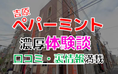 【閉店】東京・吉原のソープ"ペパーミント"でNN/NS交渉！エロすぎる体験談を暴露！【2026年】のサムネイル画像