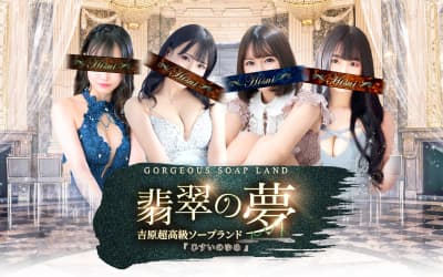 【NN/NS情報】東京・吉原のソープランド”翡翠の夢”の潜入体験談！口コミと総額・おすすめ嬢を紹介！のサムネイル画像