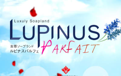 【NN/NS情報】東京・吉原のソープランド”LUPINUS PARFAIT（ルピナスパルフェ）”の潜入体験談！口コミと総額・おすすめ嬢を紹介！のサムネイル画像