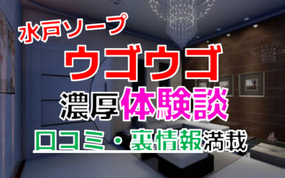 【閉店】茨城県・水戸のソープ"ウゴウゴ"でNN/NS交渉！エロすぎる体験談を暴露！【2026年】のサムネイル画像