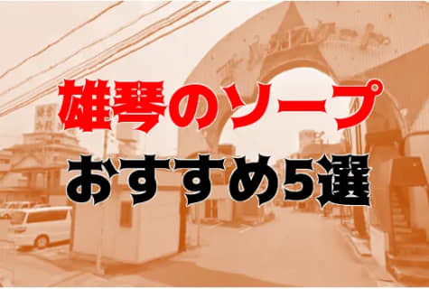 NN/NS可能？雄琴のソープ5店を全29店舗から厳選！ | Trip-Partner[トリップパートナー]のサムネイル