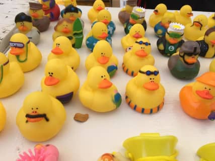 33rd Annual Great Hawaii Rubber Duckie Race — United Cerebral Palsy Association of Hawai‘iのサムネイル