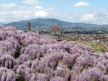 イタリア初めてのフィレンツェ観光を満喫したい人へ。１日モデルコースとグルメ・お土産情報！のサムネイル