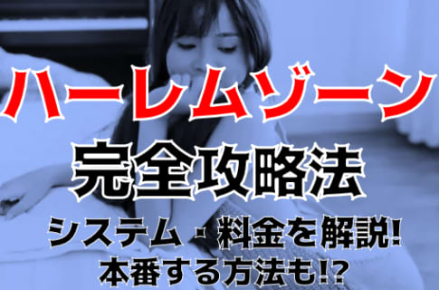 【体験談】札幌のヘルス”ハーレムゾーン”は3Pができる？料金システム・口コミを徹底公開！ | Trip-Partner[トリップパートナー]のサムネイル