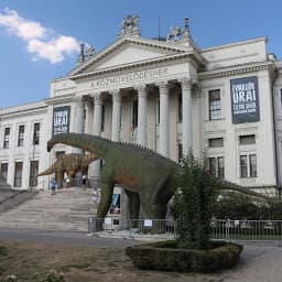 Móra Ferenc Museumのサムネイル