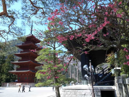 山梨県の神社・お寺別に御朱印をご紹介！自然との調和が美しい神社仏閣まとめ！のサムネイル