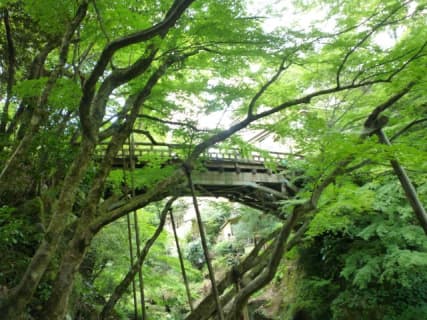 石川・加賀温泉郷の4大エリアはここ！それぞれのおすすめ旅館・日帰り温泉をご紹介！のサムネイル