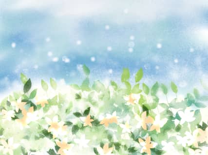 【エロ主婦が語る】ジャスミン茶で性欲が増す？他にも性欲アップする飲み物はある？ | happy-travel[ハッピートラベル]のサムネイル