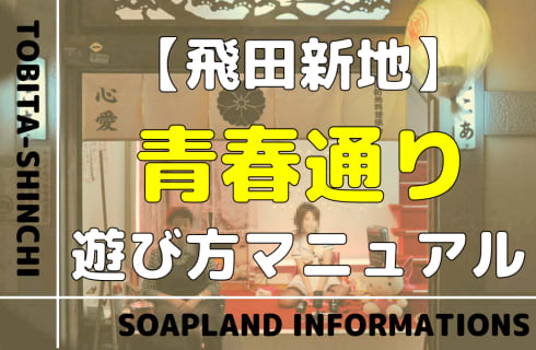 【飛田新地】青春通りの遊び方マニュアル！おすすめ料亭とNN/NS情報を紹介！ | enjoy-night[エンジョイナイト]のサムネイル
