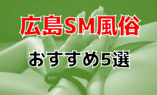 本番も⁈広島のおすすめSM風俗5店を全38店舗から厳選！ | Trip-Partner[トリップパートナー]のサムネイル