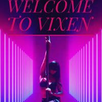 Night club VIXEN exclusiveのサムネイル