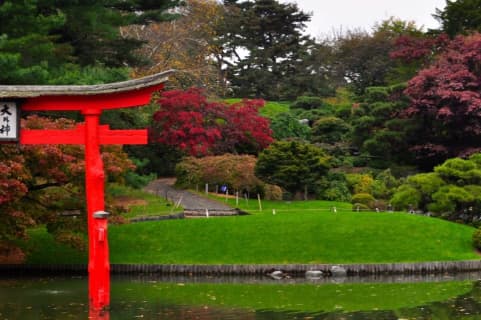 ブルックリン植物園のサムネイル