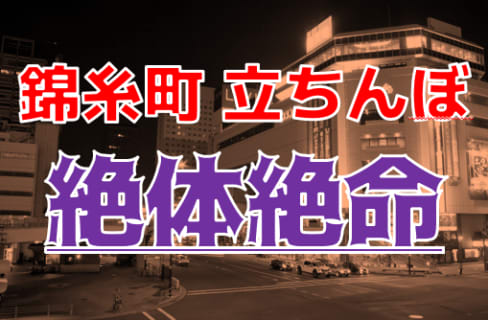 【2023年最新】錦糸町の立ちんぼ消滅！？裏風俗を調査！本番するならチャイエスか！ | Trip-Partner[トリップパートナー]のサムネイル