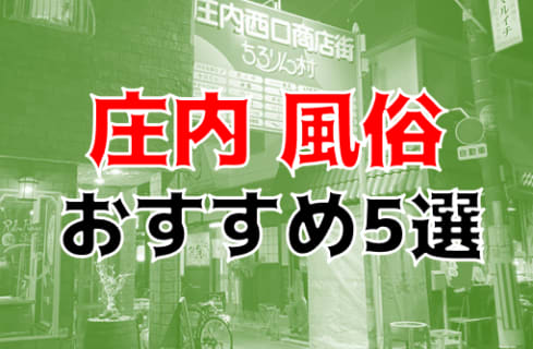 本番/NN/NSも？庄内の風俗5店を全17店舗から厳選！【2023年】 | Trip-Partner[トリップパートナー]のサムネイル