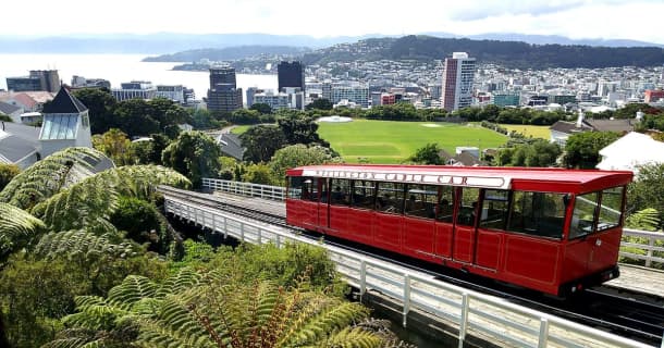 NZウェリントンブログ またチキン食ってる〜31歳 関西人がNZ移住したら〜のサムネイル