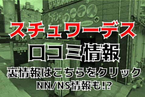 【体験談】新潟のソープ"スチュワーデス"はNS/NN可能？料金・おすすめ嬢をご紹介！ | Trip-Partner[トリップパートナー]のサムネイル