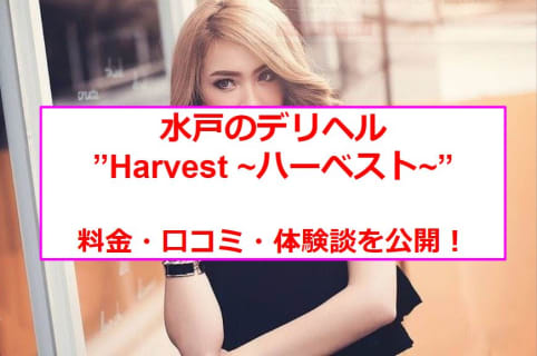 【裏情報】水戸のデリヘル”Harvest ~ハーベスト~”で副業OLと本番あり⁈料金・口コミを公開！のサムネイル