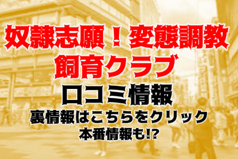 【体験談】大阪・日本橋のデリヘル”奴隷志願！変態調教飼育クラブ本店”で変態プレイ！料金・口コミを徹底公開！ | Trip-Partner[トリップパートナー]のサムネイル