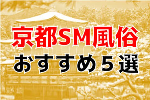京都のおすすめSM風俗5店を全10店舗から厳選！ | Trip-Partner[トリップパートナー]のサムネイル