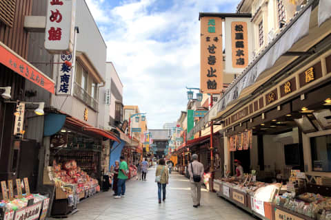 川崎はデートスポットの宝庫！自然でのんびり遊園地ではしゃいで夜はイルミネーション！のサムネイル