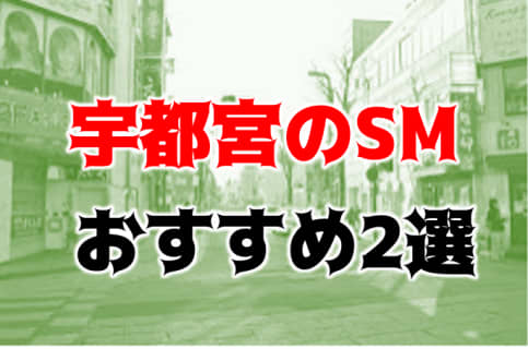 宇都宮のおすすめSM風俗2店を全7店舗から厳選！ | Trip-Partner[トリップパートナー]のサムネイル