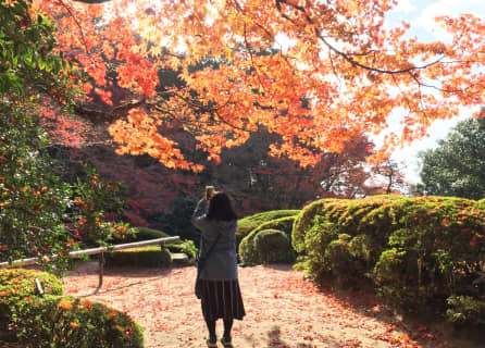 【京都】秋のオススメ観光スポット7選！周辺カフェ・ランチなどモデルコースもご紹介のサムネイル