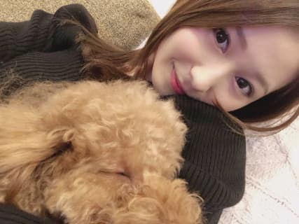 【動画付き】飛鳥りんの無修正動画が流出？元アイドルの過激AV5本紹介！のサムネイル