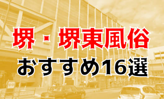 本番/NN/NSも？堺・堺東の風俗16店を全200店舗から厳選！【2023年】 | Trip-Partner[トリップパートナー]のサムネイル