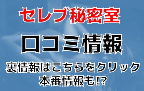 【体験談】名古屋市錦のM性感ヘルス"セレブ秘密室"は全国2位の実績！料金・口コミを紹介！ | Trip-Partner[トリップパートナー]のサムネイル