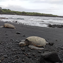 プナルウ黒砂海岸のサムネイル