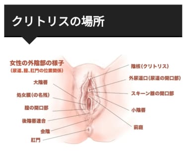 『【クリトリスってどこやねん？】』のサムネイル