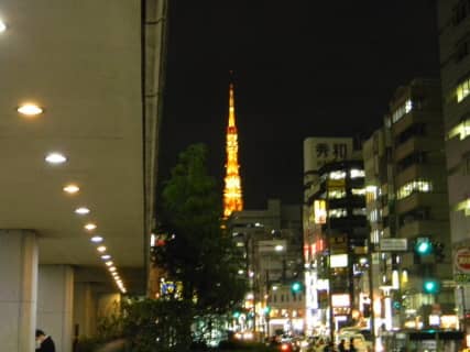 本番/NN/NSも？浜松町の風俗5店を全277店舗から厳選！【2025年】 | Trip-Partner[トリップパートナー]のサムネイル