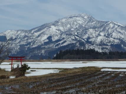 新潟県の御朱印はデザインが斬新！神社・お寺とその魅力をご紹介！のサムネイル