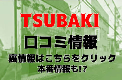 【体験レポ】土浦のヘルス”ツバキ”に潜入！料金システムや口コミを徹底公開！本番も？ | Trip-Partner[トリップパートナー]のサムネイル