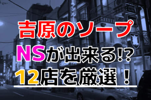 【2024年本番情報】吉原で実際に遊んだソープ12選！本当にNS・NNが出来るのか体当たり調査！ | otona-asobiba[オトナのアソビ場]のサムネイル