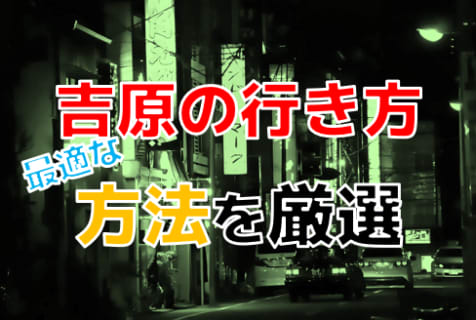 吉原って一体どこにあるの？吉原までの最適な行き方を移動手段ごとに厳選！ | Trip-Partner[トリップパートナー]のサムネイル