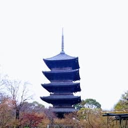 東寺のサムネイル