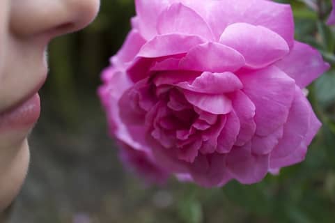 【恋愛女子の解説】臭そうなマンコの見分け方6選！これであなたも後悔しない！ | Trip-Partner[トリップパートナー]のサムネイル