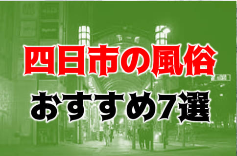 本番/NN/NSも？四日市・桑名の風俗7店を全62店舗から厳選！【2023年】 | Trip-Partner[トリップパートナー]のサムネイル