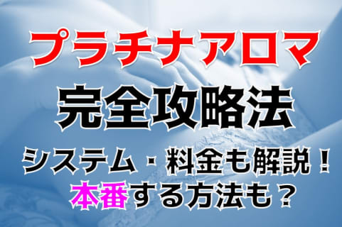 【体験談】川越の風俗エステ"プラチナアロマ川越店”の本番情報を調査！料金・口コミも紹介！ | midnight-angel[ミッドナイトエンジェル]のサムネイル