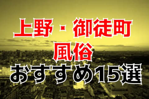 本番/NN/NSも？上野・御徒町の風俗15店を全86店舗から厳選！【2023年】 | Trip-Partner[トリップパートナー]のサムネイル