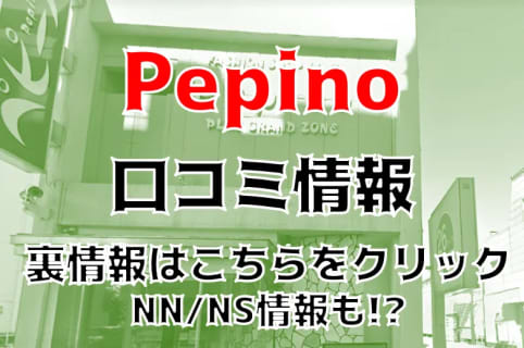 【体験談】秋田のソープ”ペピーノ”はNS/NN可能？料金・口コミ・本番情報を公開！！ | Trip-Partner[トリップパートナー]のサムネイル