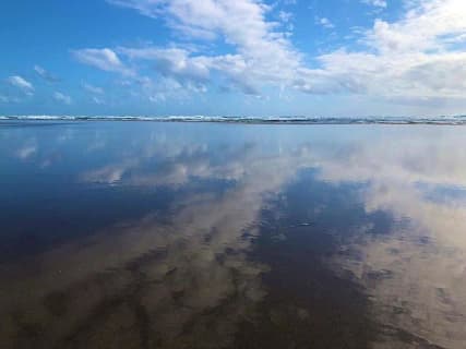 ねむいうさぎ in NZのサムネイル