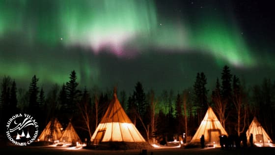  Aurora Villageのサムネイル
