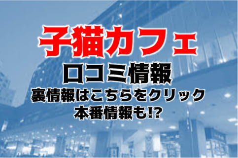【裏情報】デリヘル”子猫カフェ小倉店”は豊富なオプションで若い娘とイチャイチャ！料金・口コミを公開！ | Trip-Partner[トリップパートナー]のサムネイル