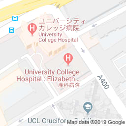 UCL美術館のサムネイル