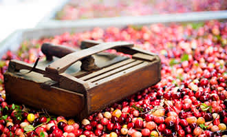 オーシャンスプレー【公式サイト】のサムネイル