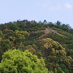五山送り火 左大文字のサムネイル