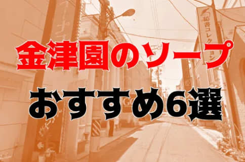 【NN/NS情報】金津園のソープランド6店を全38舗から厳選！【2025年】 | Trip-Partner[トリップパートナー]のサムネイル